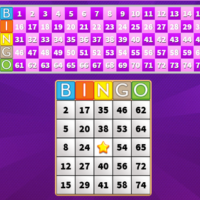 Mybingoweb